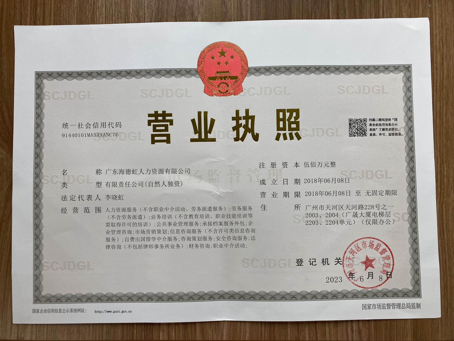 广东海德虹人力资源有限公司营业执照